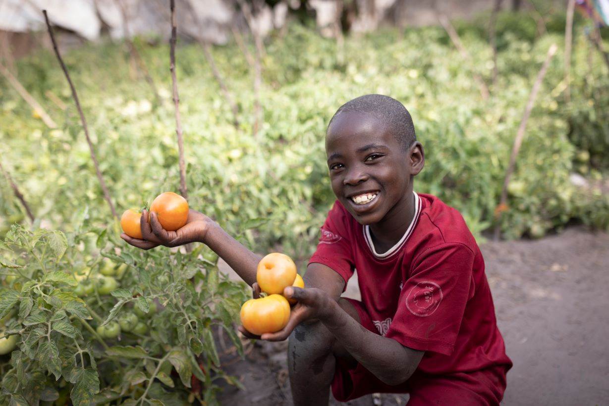 Pojke visar tomater som odlats i en skolträdgård